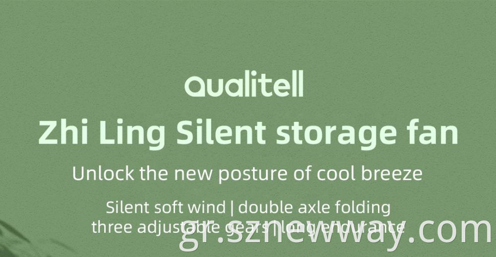 Qualitell Silent Storage Fan
